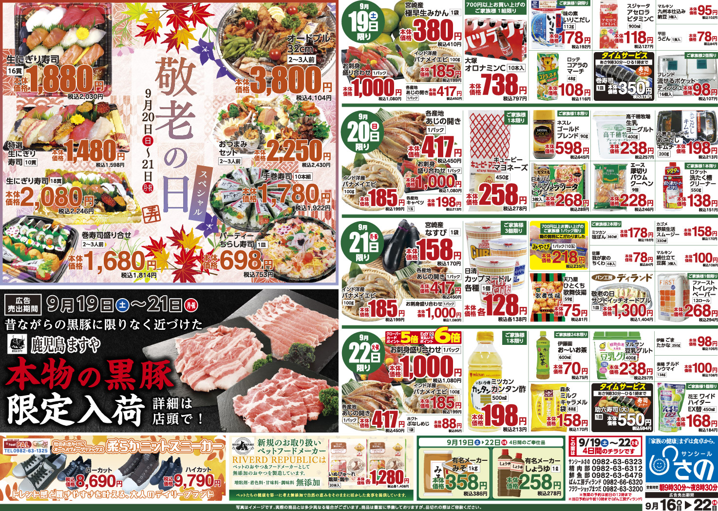 今週のチラシ - サンシールさの
